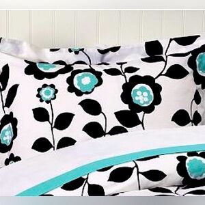 Good used condition “Pottery Barn Teen” sham pillowcases (x2)